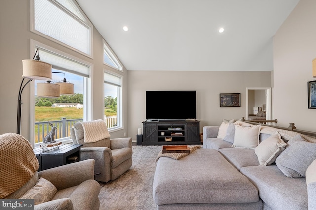 living room featuring lofted ceiling