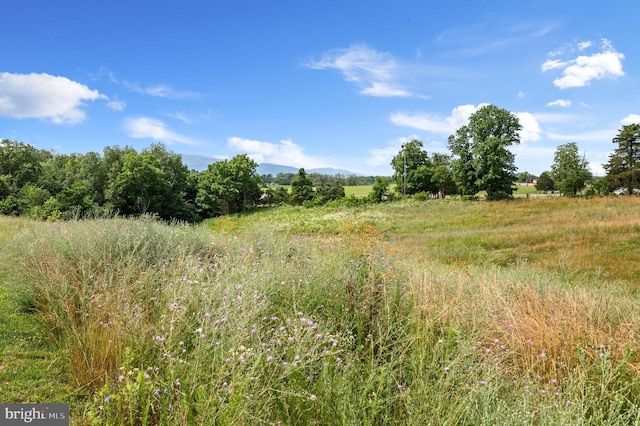 view of landscape featuring a rural view