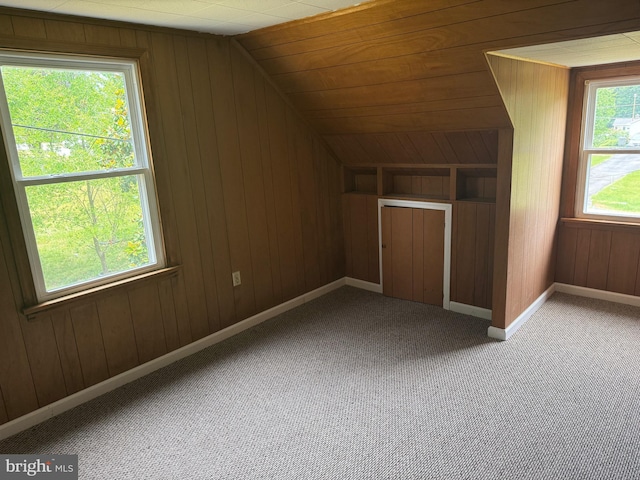 additional living space with wooden walls, a wealth of natural light, and lofted ceiling