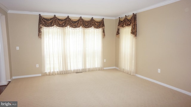 carpeted empty room featuring ornamental molding