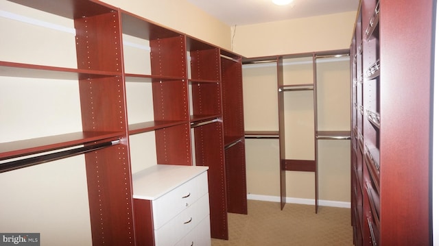 walk in closet with light colored carpet