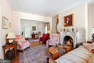 living room featuring hardwood / wood-style flooring