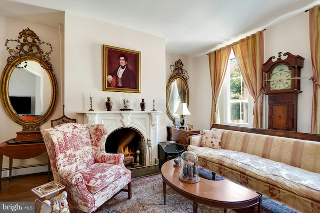 living area featuring a baseboard heating unit