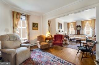 living room featuring hardwood / wood-style flooring and crown molding