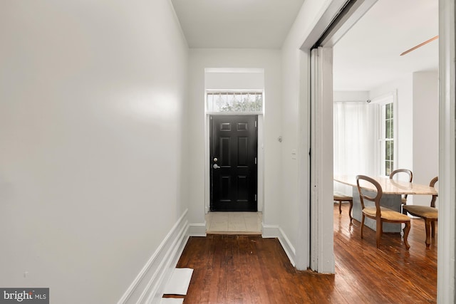 foyer entrance featuring wood-type flooring