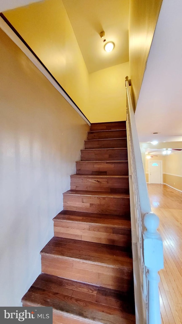 stairs featuring wood-type flooring