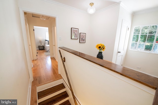 hallway with hardwood / wood-style floors and ornamental molding