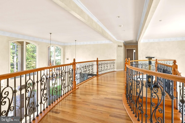 hallway with a chandelier, light hardwood / wood-style floors, and crown molding