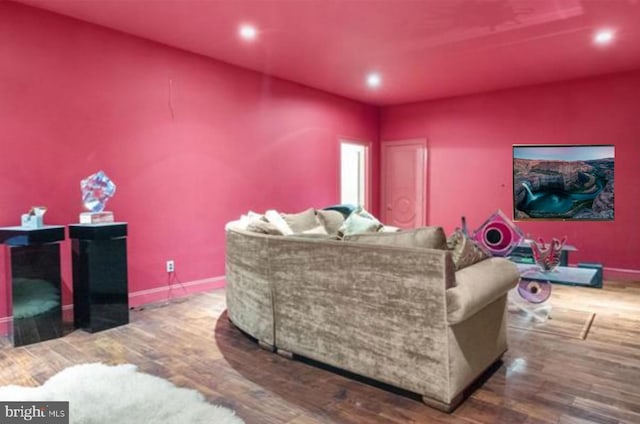 living room with wood-type flooring