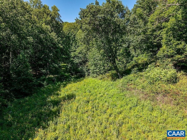 LOTH-8 Hightop Dr, North Garden, VA 22959