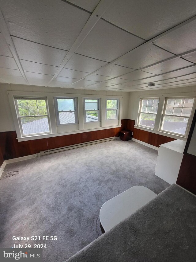 interior space featuring plenty of natural light, wood walls, and a baseboard radiator