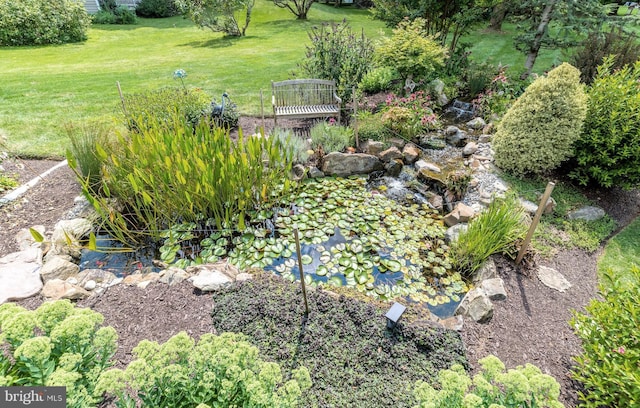 view of yard featuring a garden pond