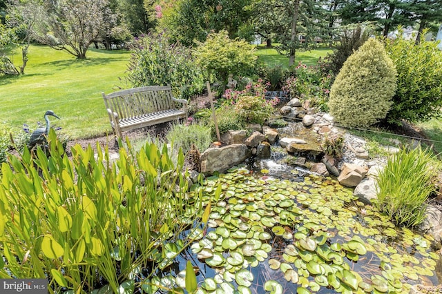 view of yard with a small pond