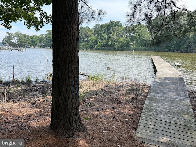 view of dock with a water view