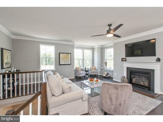 living room featuring plenty of natural light and crown molding