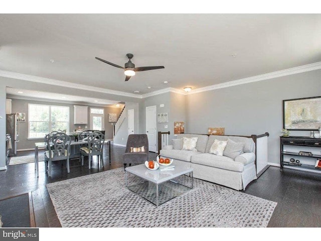 living room with dark hardwood / wood-style flooring, ceiling fan, and crown molding