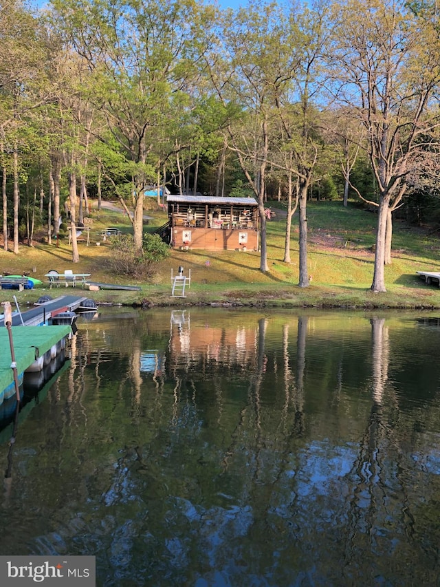 dock area with a water view