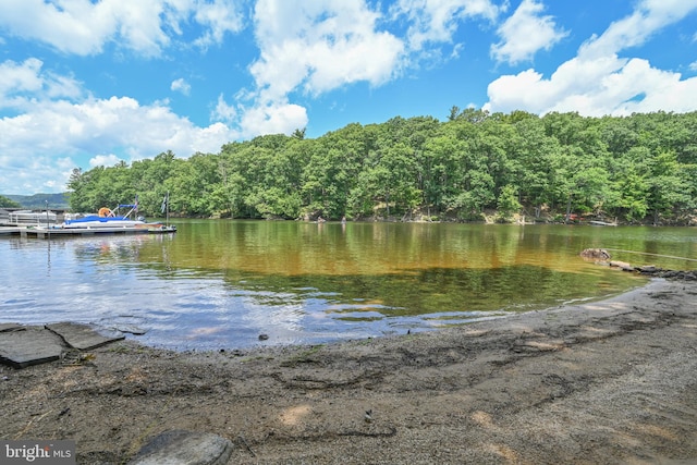 view of water feature featuring a dock