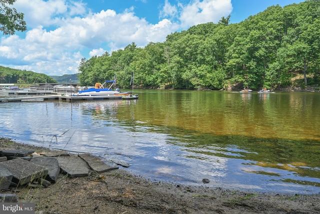 view of water feature with a boat dock