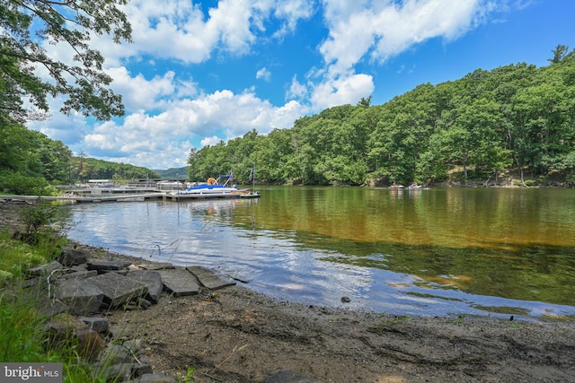 property view of water with a dock