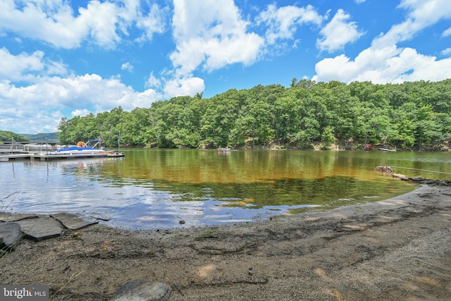 water view featuring a dock