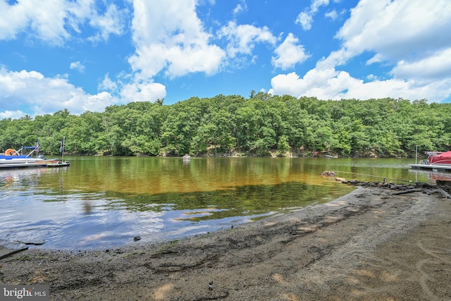 water view featuring a boat dock