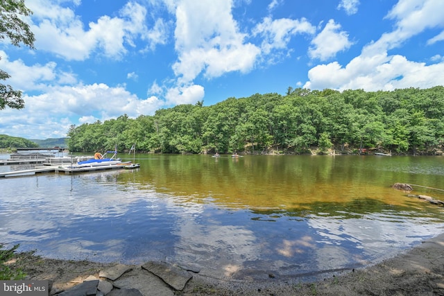 property view of water featuring a boat dock