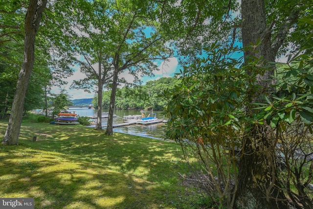 view of yard featuring a boat dock and a water view