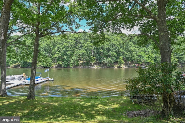 view of water feature with a boat dock