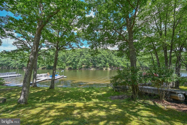 property view of water with a boat dock