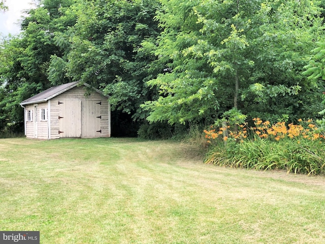 view of yard featuring a storage unit