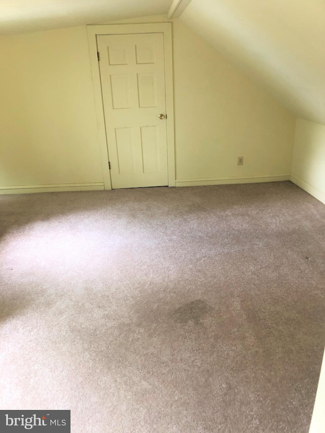 bonus room featuring carpet floors and vaulted ceiling