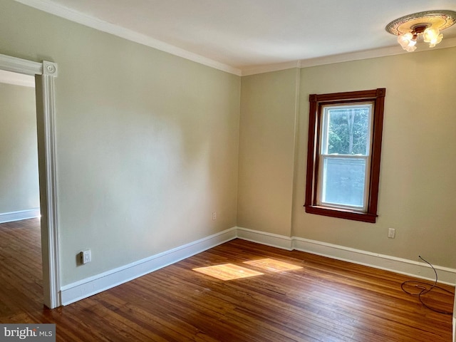 spare room with hardwood / wood-style flooring and crown molding