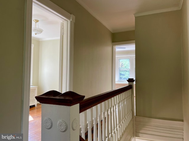 hallway with wood-type flooring and ornamental molding