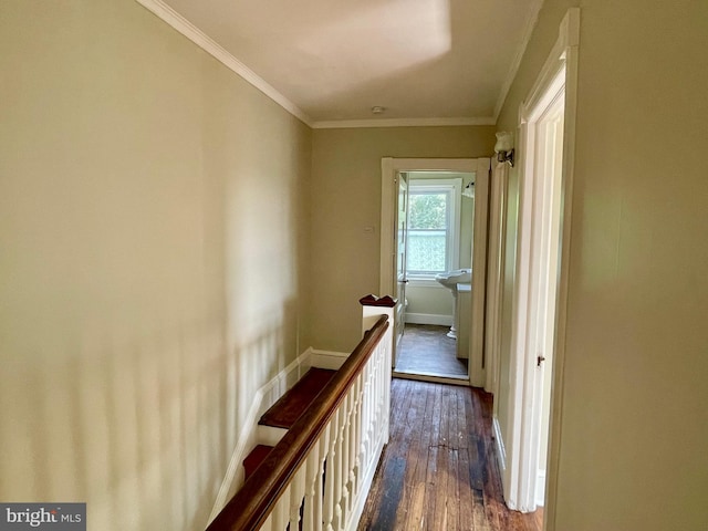 corridor featuring dark hardwood / wood-style flooring and crown molding