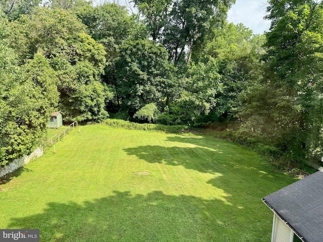 view of yard with a shed