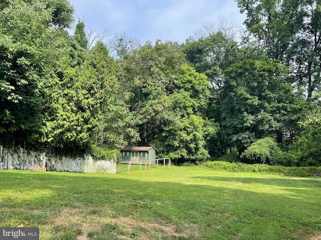 view of yard featuring an outdoor structure