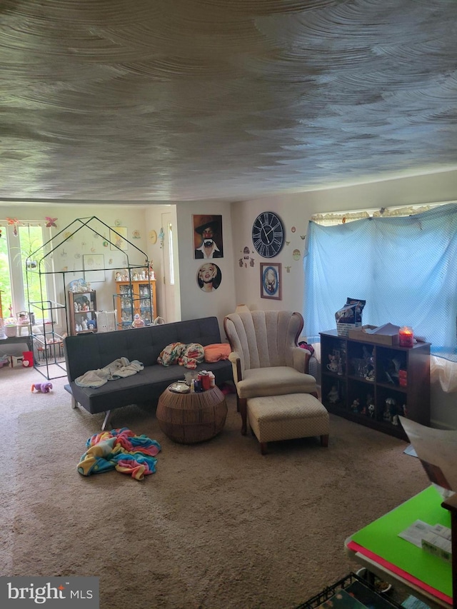 living room with carpet flooring