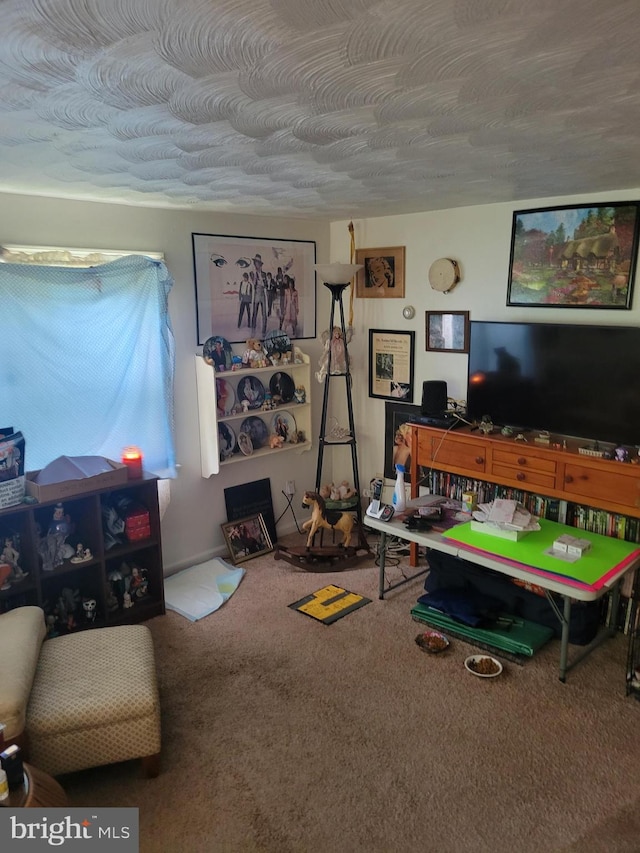 playroom with carpet flooring and a textured ceiling