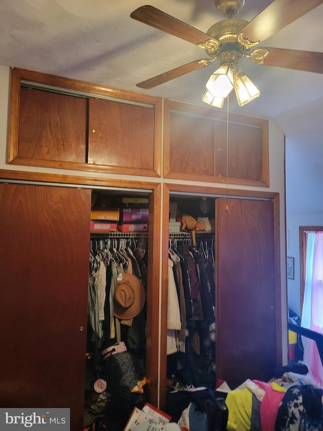 view of closet