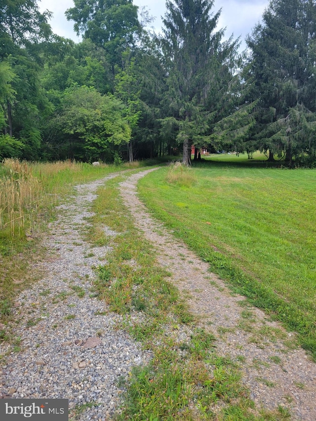 view of road