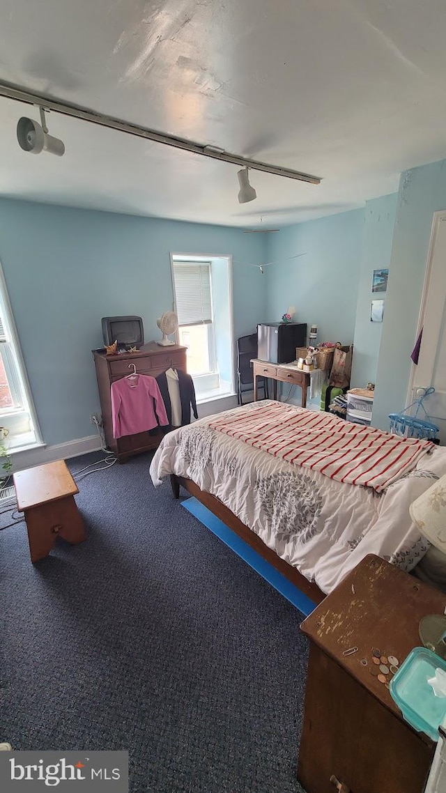 bedroom featuring carpet, rail lighting, and ceiling fan