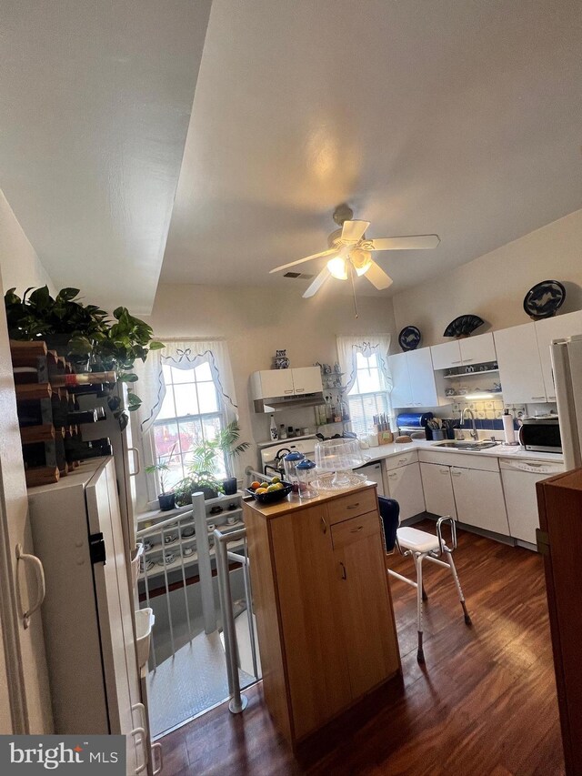 kitchen featuring ceiling fan, sink, white cabinets, and dark hardwood / wood-style floors