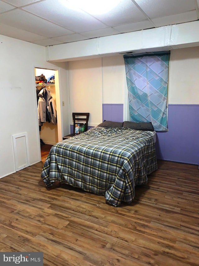 bedroom featuring a drop ceiling, a spacious closet, a closet, and dark wood-type flooring