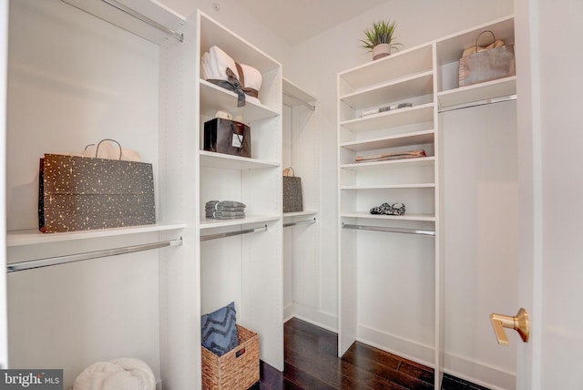 walk in closet with dark hardwood / wood-style flooring