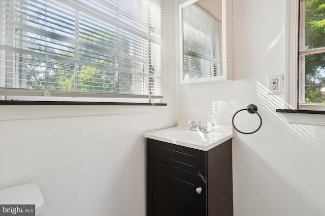 bathroom featuring a wealth of natural light and vanity