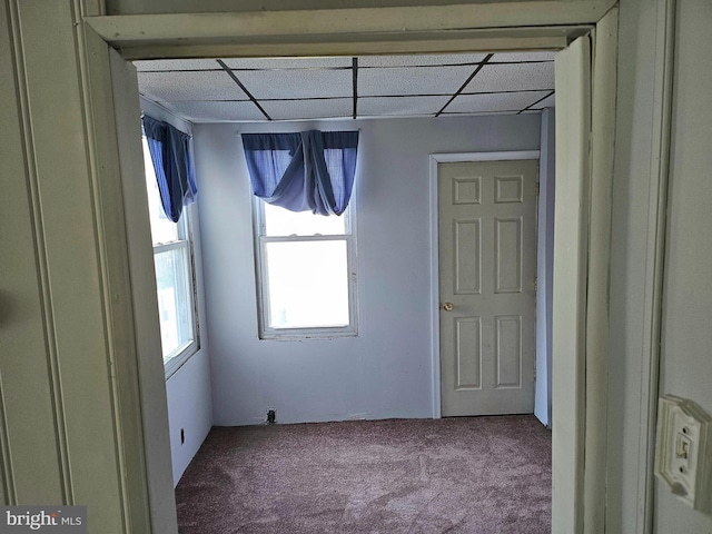 carpeted empty room featuring a drop ceiling