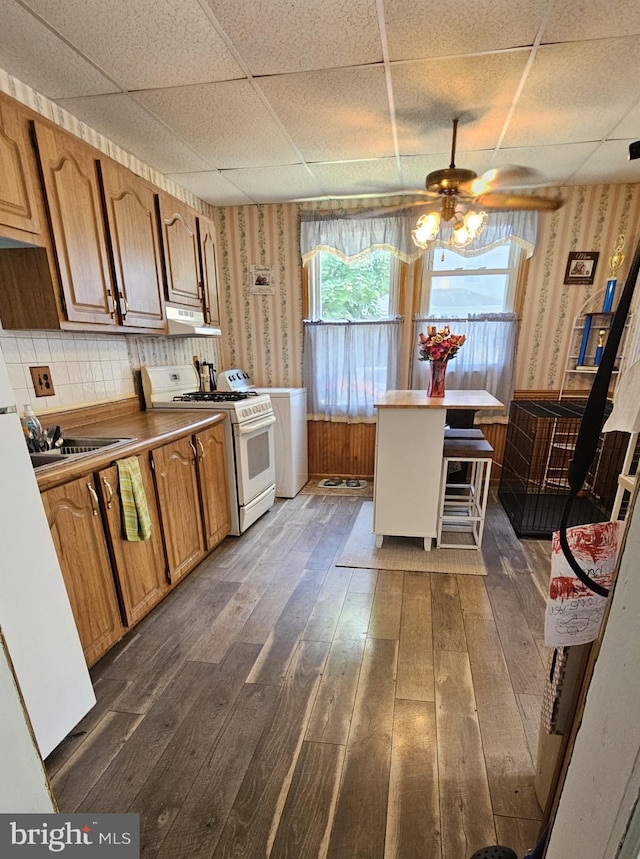 kitchen with ceiling fan, sink, dark hardwood / wood-style flooring, white appliances, and a paneled ceiling