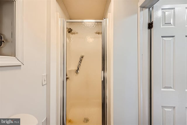 bathroom featuring a shower with shower door