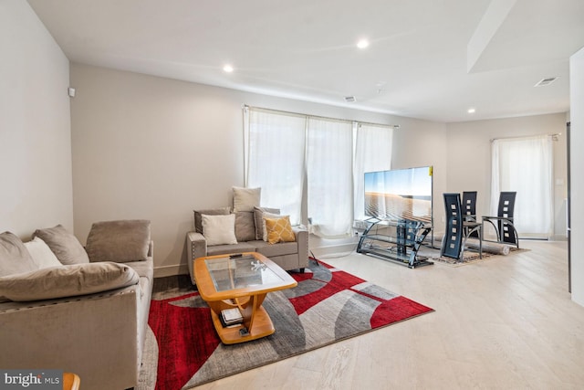 living room with wood-type flooring and plenty of natural light